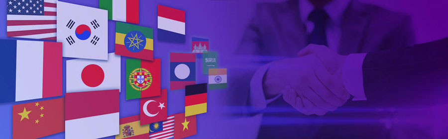 江门小语种网站建设  第2张